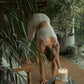 GROUNDED - Patchouli, Sandalwood and Vanilla