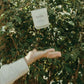 WILD AND FREE - Lemongrass and Ginger